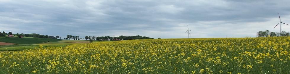 Start - Landwirtschaft-Waldeck-Frankenberg