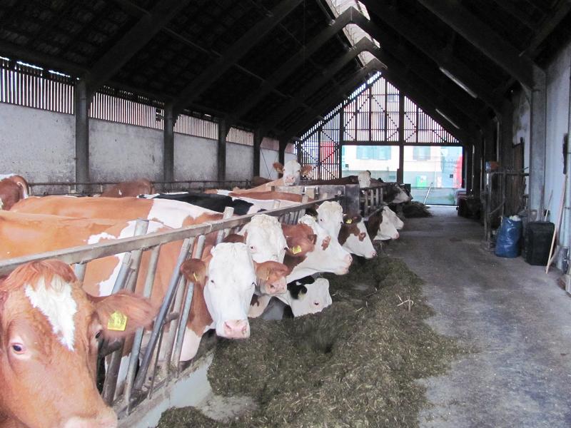 2015 Lehrfahrt - Landwirtschaft-Waldeck-Frankenberg